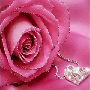 Meet your Posher, Stella